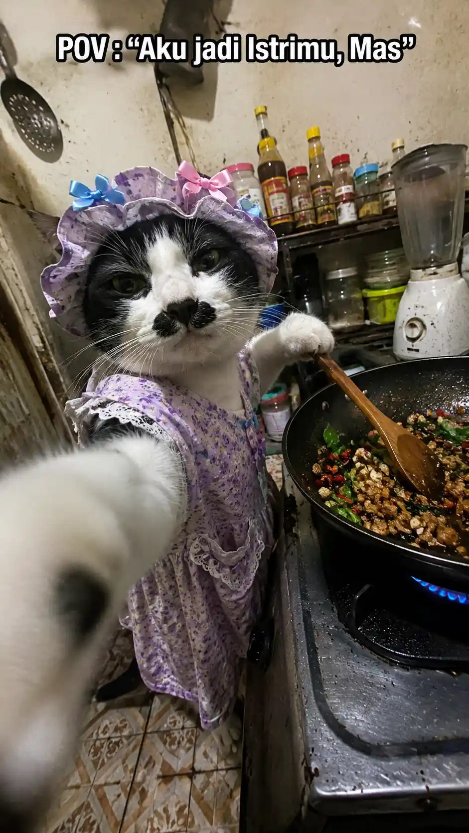 20.POV Catwife Meme Photo